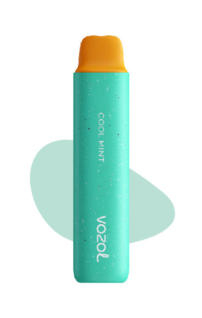 Vozol Star 3000 Cool Mint