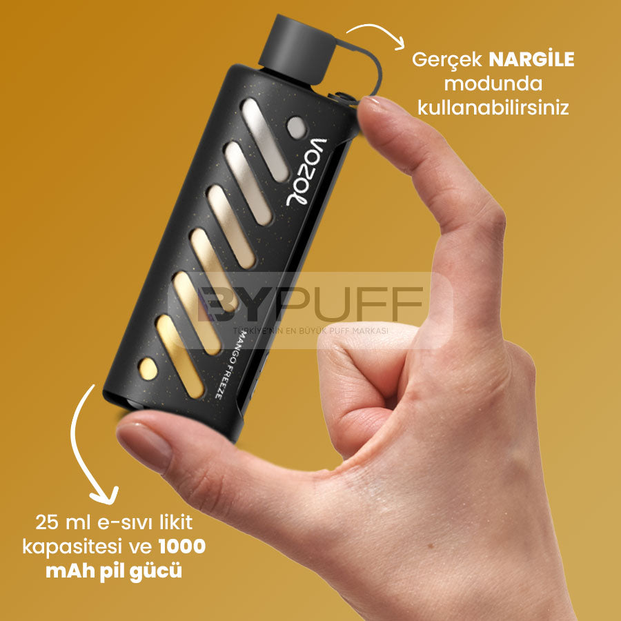 Vozol Gear Shisha 25000 Mango Freeze